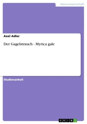 Der Gagelstrauch - Myrica gale