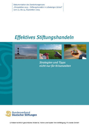 Effektives Stiftungshandeln. Strategien und Tipps nicht nur für Krisenzeiten