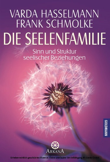 Die Seelenfamilie main product photo