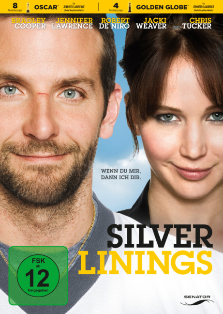 Silver Linings, 1 DVD main product photo