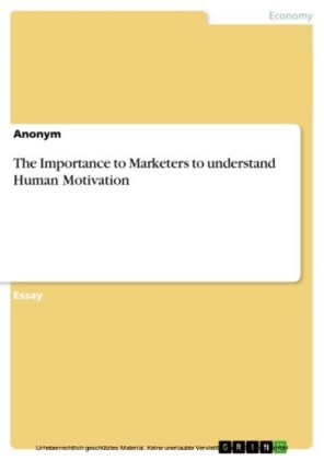 The Importance to Marketers to understand Human Motivation