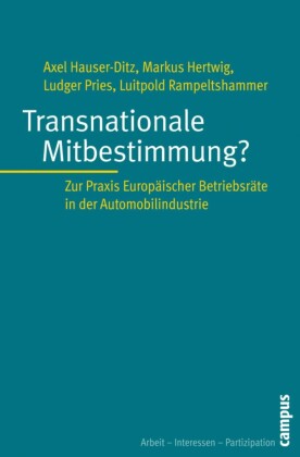 Transnationale Mitbestimmung?