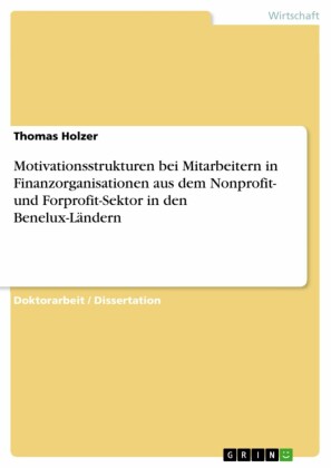 Motivationsstrukturen bei Mitarbeitern in Finanzorganisationen aus dem Nonprofit- und Forprofit-Sektor in den Benelux-Ländern