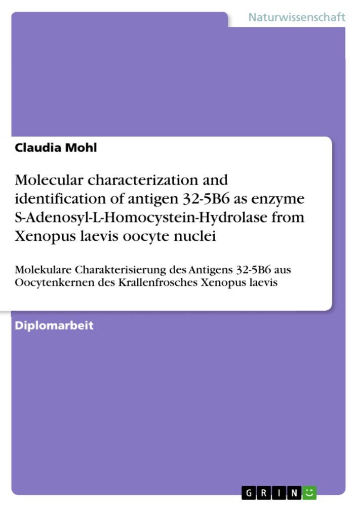 Molecular characterization and identification of antigen 32-5B6 as enzyme S-Adenosyl-L-Homocystein-Hydrolase from Xenopus laevis oocyte nuclei main product photo