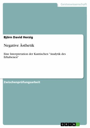 Negative Ästhetik