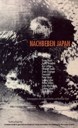 Nachbeben Japan