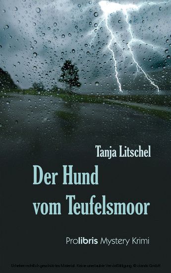 Der Hund vom Teufelsmoor main product photo