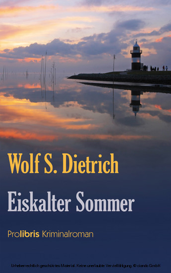 Eiskalter Sommer main product photo