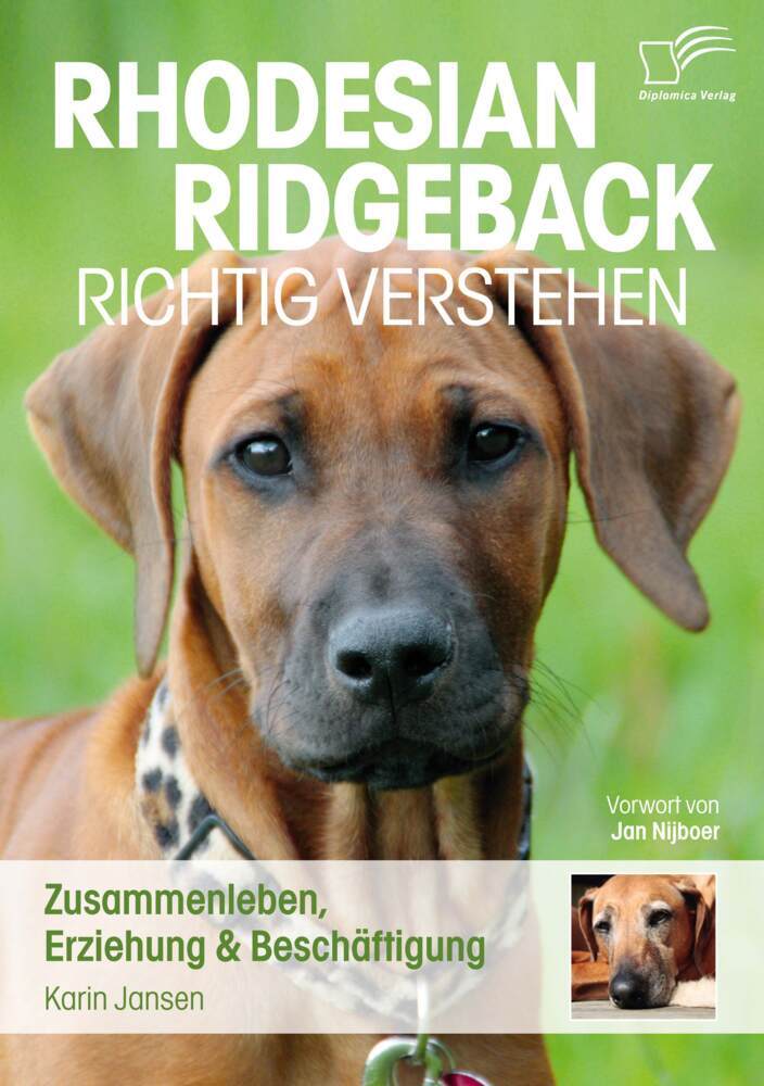 Rhodesian Ridgeback richtig verstehen main product photo