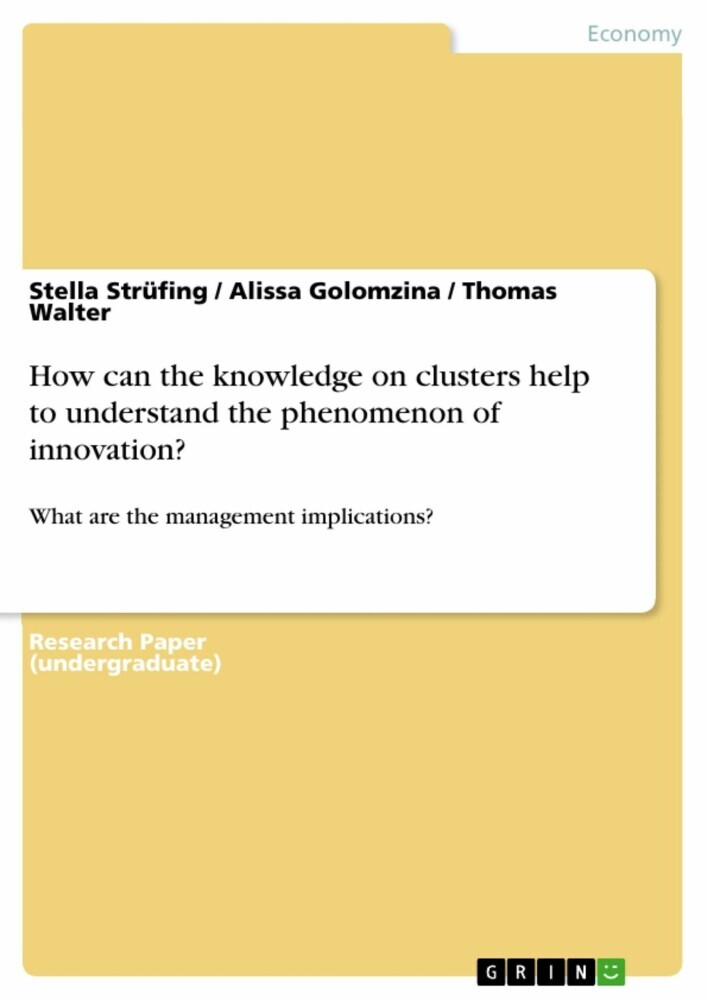 How can the knowledge on clusters help to understand the phenomenon of innovation? main product photo