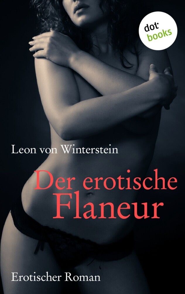 Der erotische Flaneur main product photo