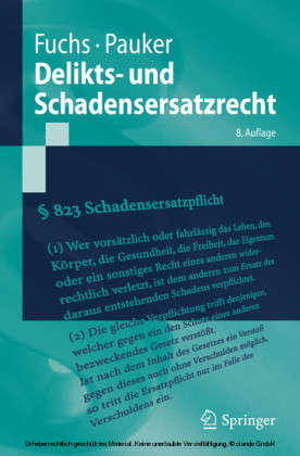 Delikts- und Schadensersatzrecht main product photo