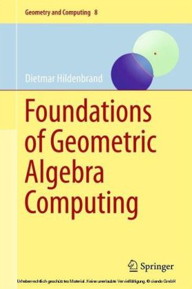 Foundations of Geometric Algebra Computing