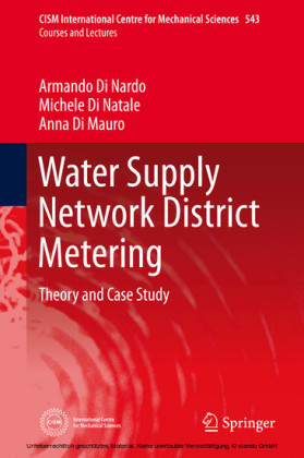 Water Supply Network District Metering