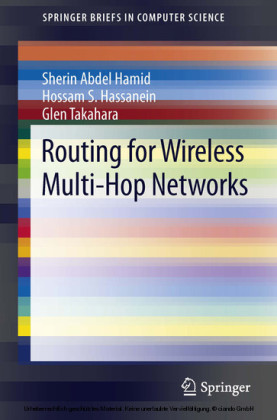 Routing for Wireless Multi-Hop Networks