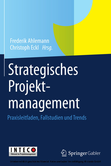 Strategisches Projektmanagement main product photo