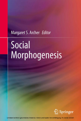 Social Morphogenesis