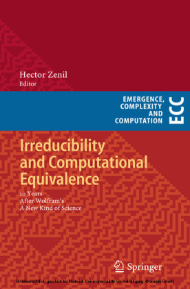 Irreducibility and Computational Equivalence