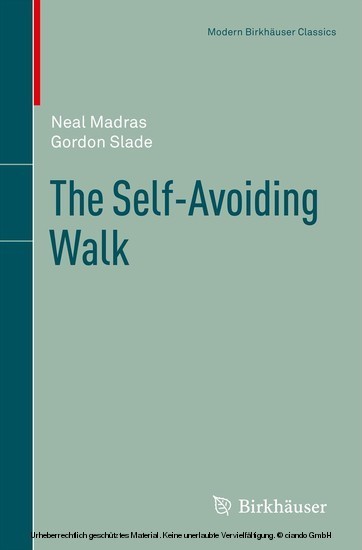 The Self-Avoiding Walk main product photo