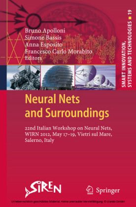Neural Nets and Surroundings