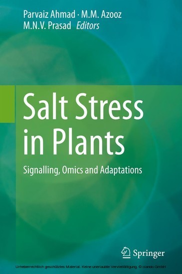 Salt Stress in Plants main product photo