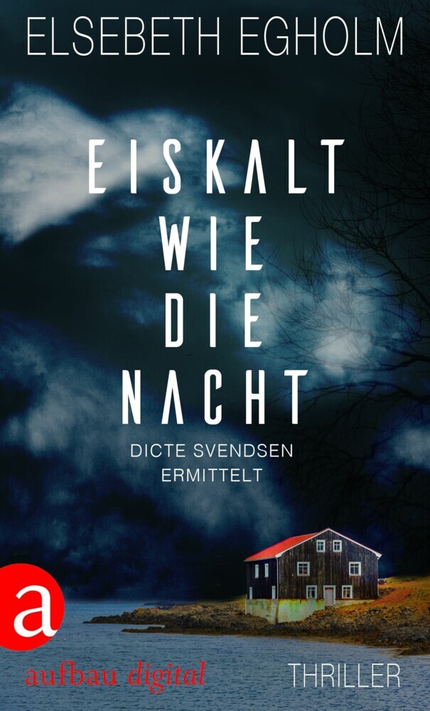 Eiskalt wie die Nacht main product photo