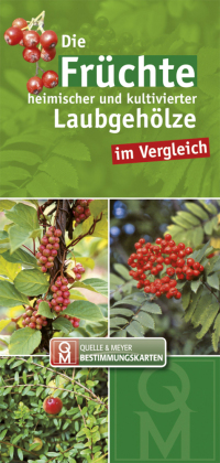 Die Früchte heimischer und kultivierter Laubgehölze im Vergleich