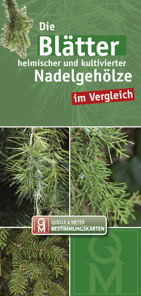 Die Blätter heimischer und kultivierter Nadelgehölze im Vergleich main product photo