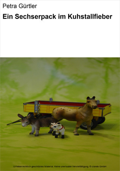 Ein Sechserpack im Kuhstallfieber main product photo