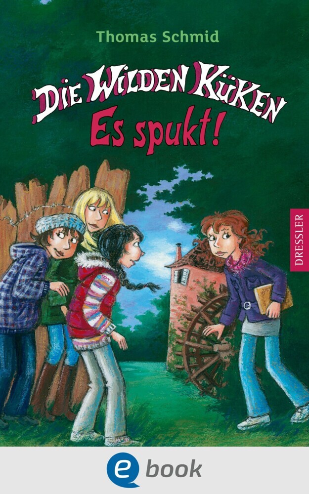 Die Wilden Küken 4. Es spukt! main product photo