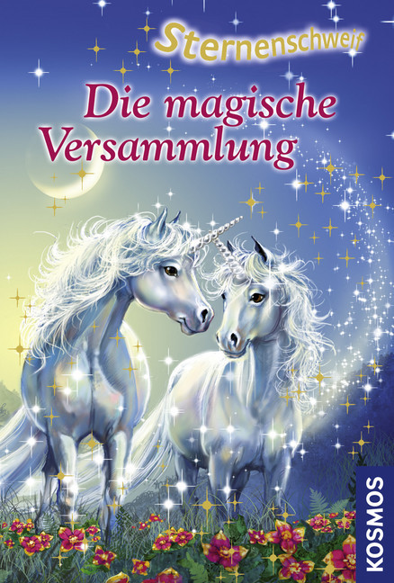 Sternenschweif, 17, Die magische Versammlung main product photo