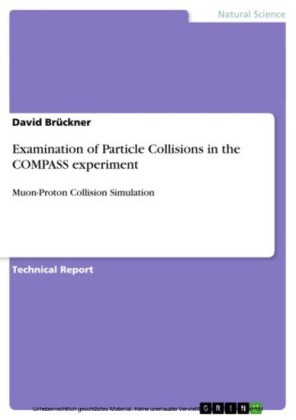 Examination of Particle Collisions in the COMPASS experiment