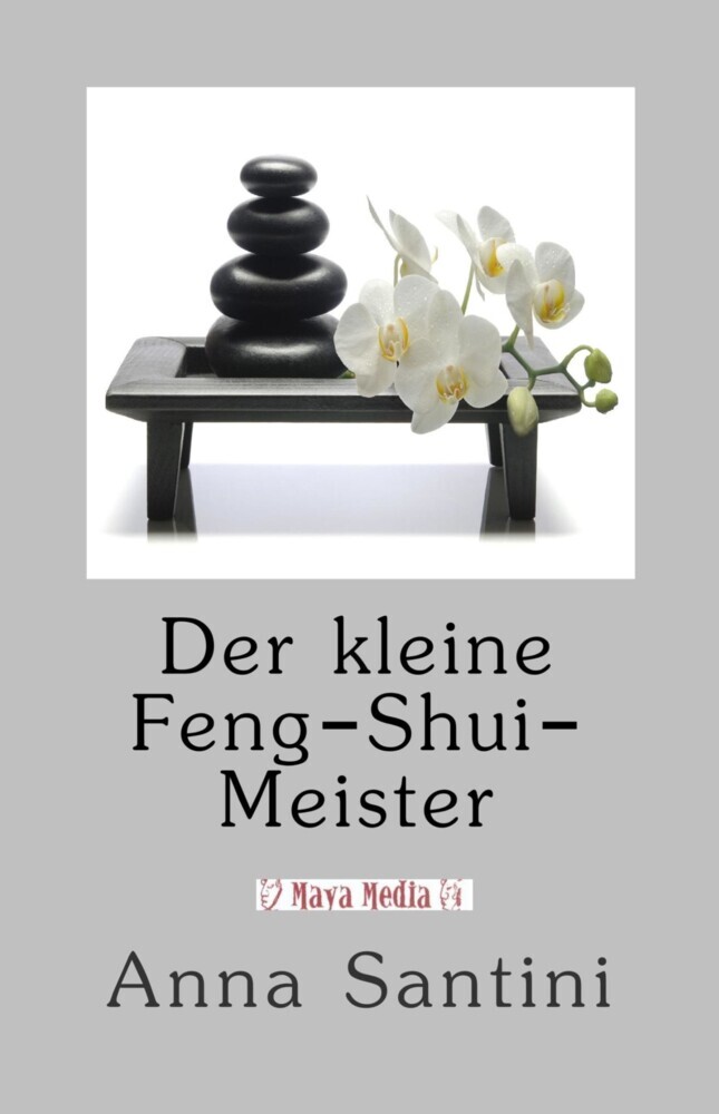 Der kleine Feng-Shui-Meister main product photo