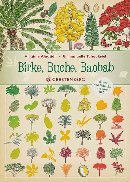 Birke, Buche, Baobab main product photo