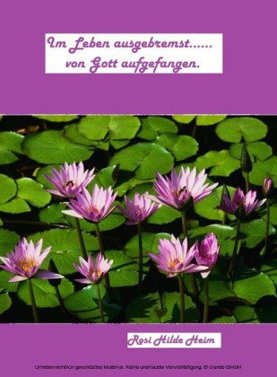 Im Leben ausgebremst...von Gott aufgefangen