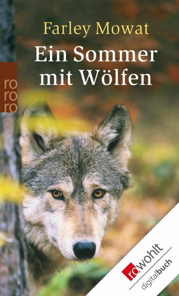 Ein Sommer mit Wölfen main product photo