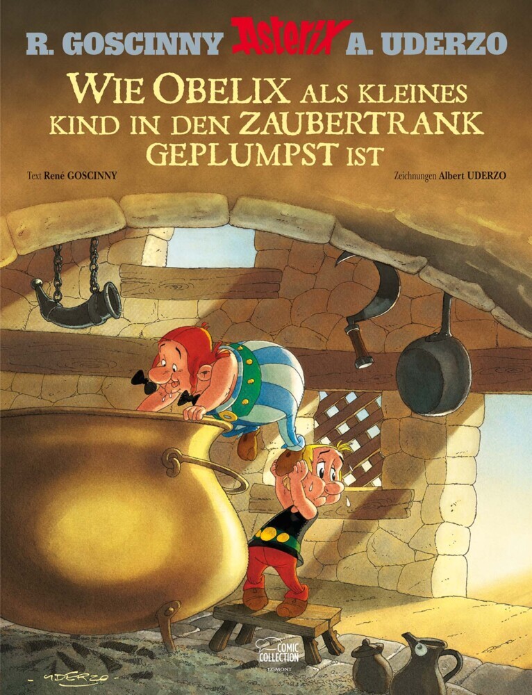 Wie Obelix als kleines Kind in den Zaubertrank geplumpst ist main product photo