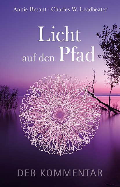 Licht auf den Pfad main product photo
