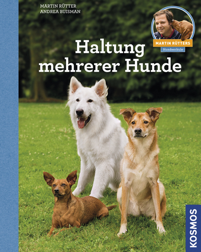Haltung mehrerer Hunde main product photo