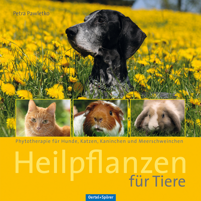 Heilpflanzen für Tiere main product photo