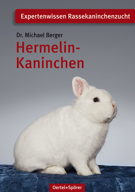 Hermelin-Kaninchen main product photo