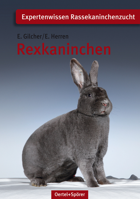 Rexkaninchen main product photo