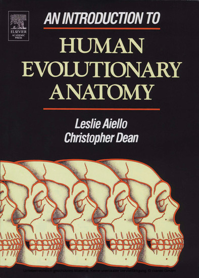 An Introduction to Human Evolutionary Anatomy main product photo