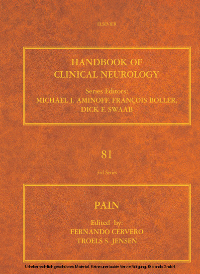 Pain main product photo