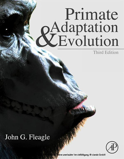 Primate Adaptation and Evolution main product photo