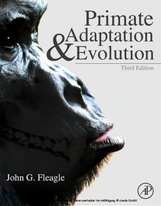 Primate Adaptation and Evolution