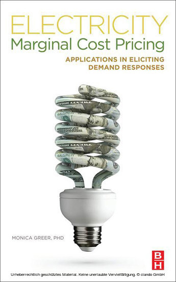 Electricity Marginal Cost Pricing main product photo