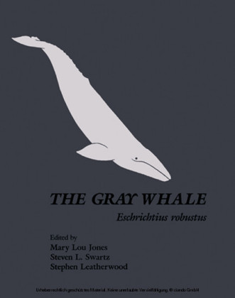 The Gray Whale: Eschrichtius Robustus