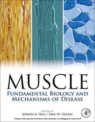 Muscle 2-Volume Set
