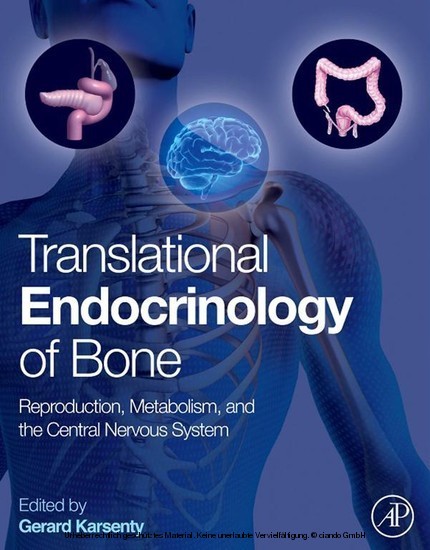 Translational Endocrinology of Bone main product photo